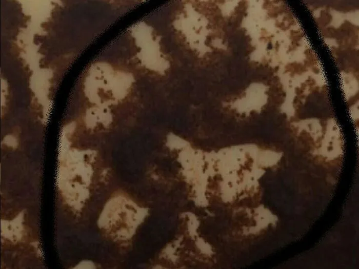 Запись на консультацию к психологу в Твери